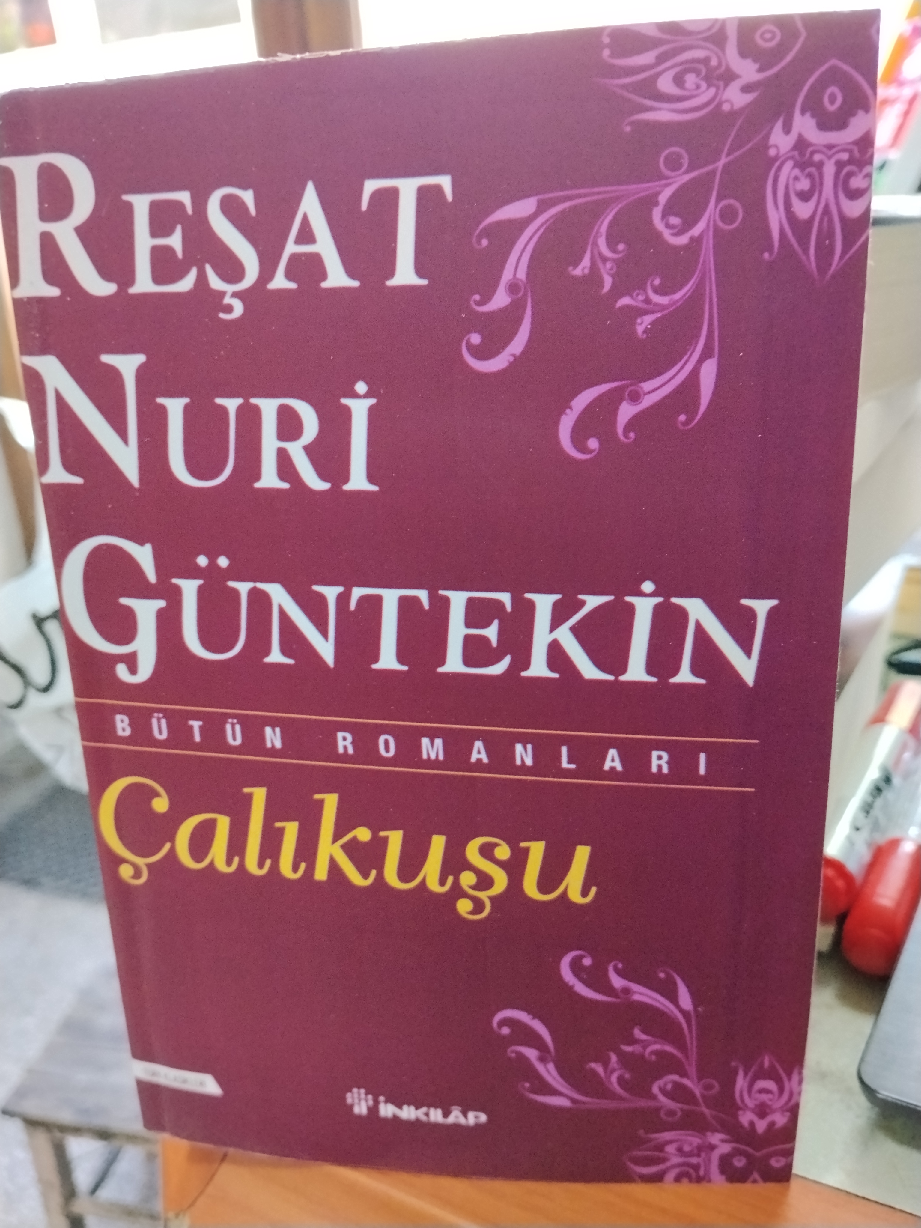 Çalıkuşu/halide edip adıvar