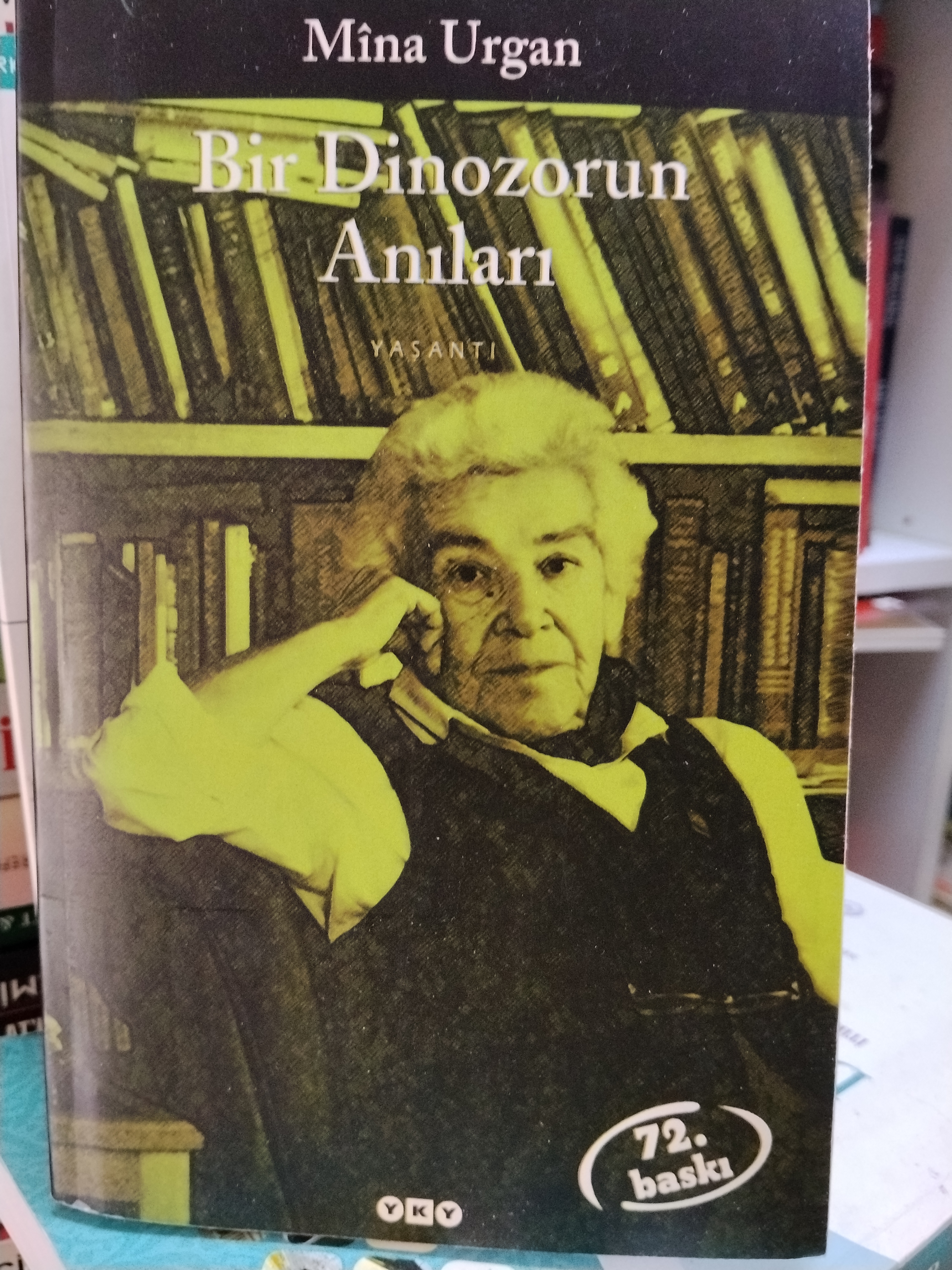Bir dinozorun anıları